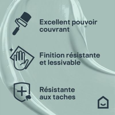 Peinture murs, boiseries et radiateurs vert artane velours GoodHome ...