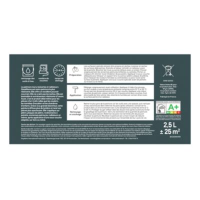 Peinture murs, boiseries et radiateurs vert ballina mat GoodHome Premium 2.5 L