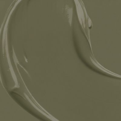 Peinture murs, boiseries et radiateurs vert coragh velours GoodHome ...