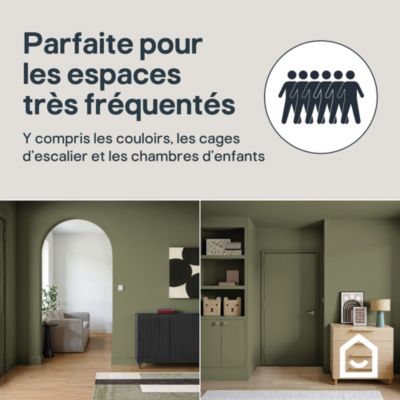 Peinture murs, boiseries et radiateurs vert coragh velours GoodHome Premium 2.5 L