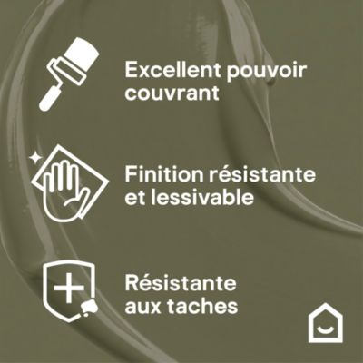 Peinture murs, boiseries et radiateurs vert coragh velours GoodHome Premium 2.5 L