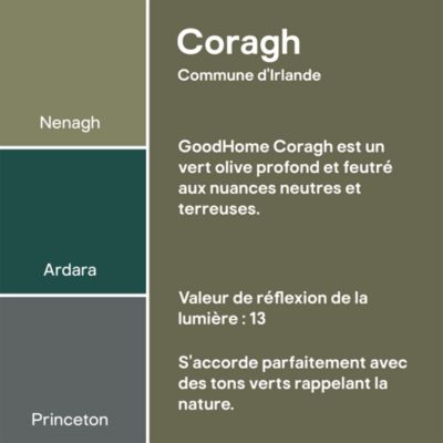 Peinture murs, boiseries et radiateurs vert coragh velours GoodHome Premium 2.5 L