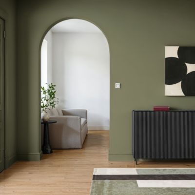 Peinture murs, boiseries et radiateurs vert coragh velours GoodHome Premium 2.5 L