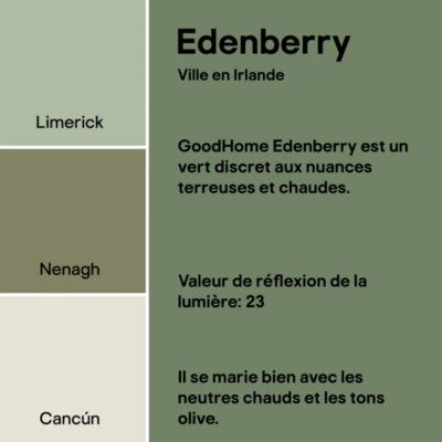 Peinture murs, boiseries et radiateurs vert edenberry mat GoodHome Premium 2.5 L