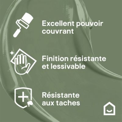 Peinture murs, boiseries et radiateurs vert edenberry velours GoodHome ...