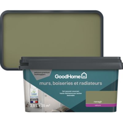 Peinture murs, boiseries et radiateurs vert nenagh velours GoodHome ...