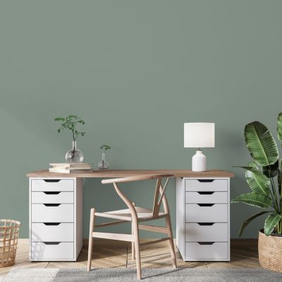 Peinture murs, boiseries et radiateurs vert nobile satin velouté Ripolin O'pur 0.5 L