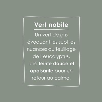 Peinture murs, boiseries et radiateurs vert nobile satin velouté Ripolin O'pur 0.5 L