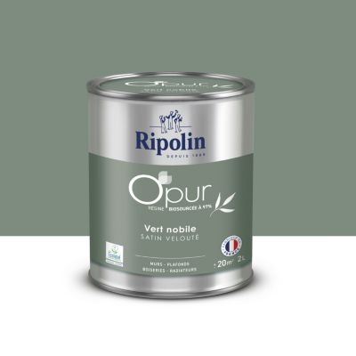 Peinture murs, boiseries et radiateurs vert nobile satin velouté ...