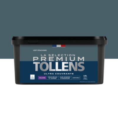Peinture murs, boiseries et radiateurs vert pénombre velours Tollens Premium 2.5 L
