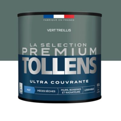Avis Peinture Tollensnull