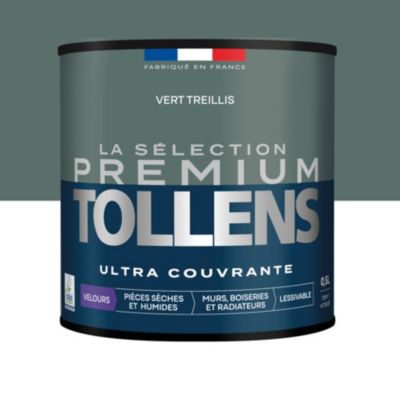 Peinture murs, boiseries et radiateurs vert treillis velours Tollens ...