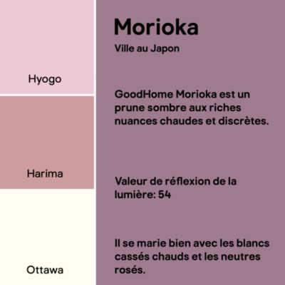Peinture murs, boiseries et radiateurs violet morioka mat GoodHome Premium 2.5 L