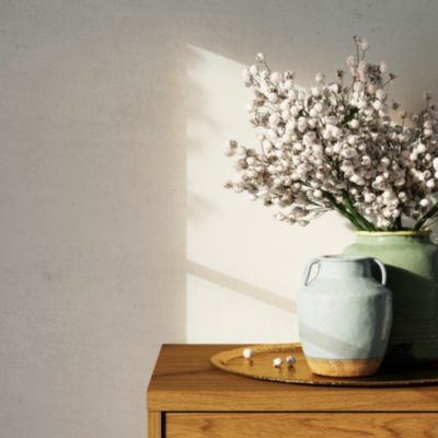 Peinture murs et boiseries beige avoine sauvage velours GoodHome Naturéa 2 L