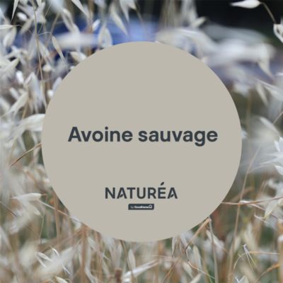 Peinture murs et boiseries beige avoine sauvage velours GoodHome Naturéa 2 L