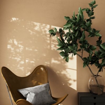 Peinture murs et boiseries beige sable velours GoodHome Naturéa 2 L