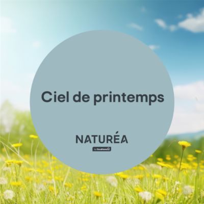 Peinture murs et boiseries bleu ciel de printemps velours GoodHome Naturéa 2 L