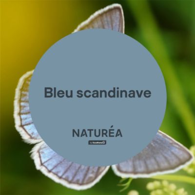 Peinture murs et boiseries bleu scandinave velours GoodHome Naturéa 2 L