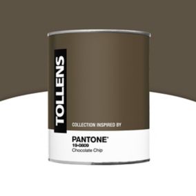 Peinture murs et boiseries Chocolate Chip 1L
