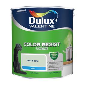 Peinture murs et boiseries Color Resist cuisine Dulux Valentine mat vert saule 2,5L