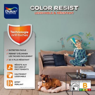 Peinture murs et boiseries Color Resist Dulux Valentine satin brun cachemire 2,5L