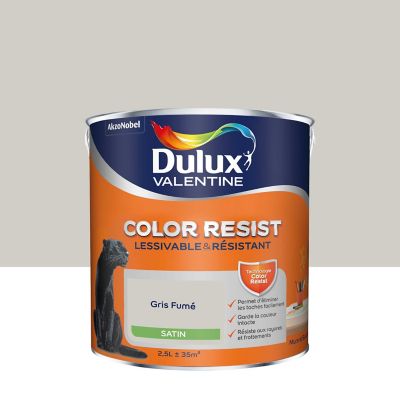 Peinture murs et boiseries Color Resist Dulux Valentine satin gris fumé 2,5L