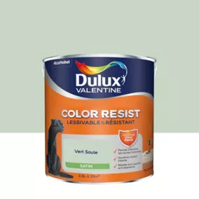 Peinture murs et boiseries Color Resist Dulux Valentine satin vert saule 2,5L