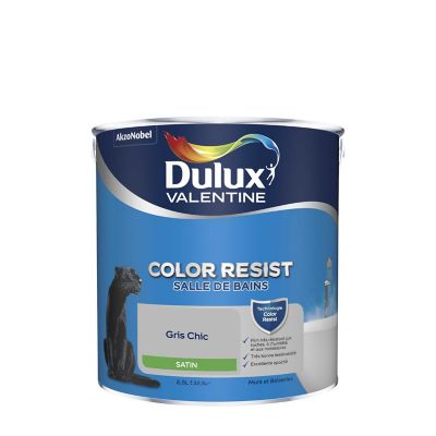 Peinture mur, boiserie, Crème de couleur DULUX VALENTINE béton gris mat 0.5  l Dulux Valentine 3031520190497 : Large sélection de peinture & accessoire  au meilleur prix.
