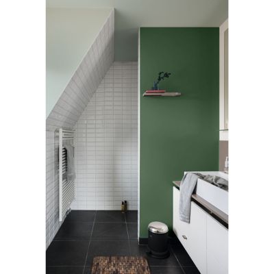 Peinture murs et boiseries cuisine et bain vert ginkgo satin Dulux Valentine Crème de couleur 0.75 L