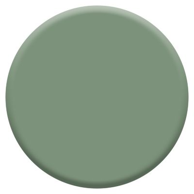 Peinture murs et boiseries cuisine et bain vert ginkgo satin Dulux Valentine Crème de couleur 0.75 L