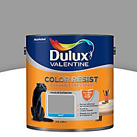 Peinture murs et boiseries Dulux Valentine Color resist aluminium mat 2,5L