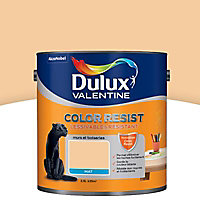 Peinture murs et boiseries Dulux Valentine Color resist aurore mat 2,5L