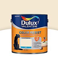 Peinture murs et boiseries Dulux Valentine Color resist blanc platine mat 2,5L