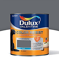 Peinture murs et boiseries Dulux Valentine Color resist charbon mat 1L