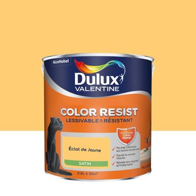 Peinture murs et boiseries Dulux Valentine Color Resist éclat de jaune