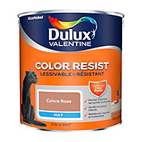 Peinture murs et boiseries Dulux Valentine Color Resist cuivre rose mat 2,5L