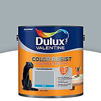 Peinture murs et boiseries Dulux Valentine Color resist gris acier mat 2,5L