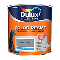 Peinture murs et boiseries Dulux Valentine Color Resist gris ardoise mat 2,5L