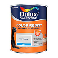 Peinture murs et boiseries Dulux Valentine Color Resist gris tendre mat 0,75L