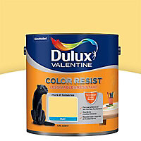 Peinture murs et boiseries Dulux Valentine Color resist jaune chrome mat 2,5L