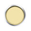 Peinture murs et boiseries Dulux Valentine Color Resist jaune citron mat 0,75L