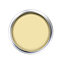 Peinture murs et boiseries Dulux Valentine Color Resist jaune citron mat 2,5L