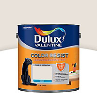 Peinture murs et boiseries Dulux Valentine Color resist marbre blanc mat 2,5L