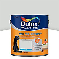 Peinture murs et boiseries Dulux Valentine Color resist nacre mat 2,5L