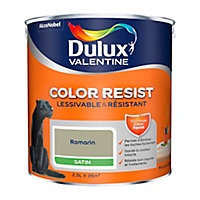 Peinture murs et boiseries Dulux Valentine Color Resist romarin satin 2,5L