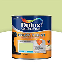 Peinture murs et boiseries Dulux Valentine Color resist vert fluorine mat 1L