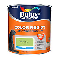 Peinture murs et boiseries Dulux Valentine Color Resist vert kiwi mat 2,5L