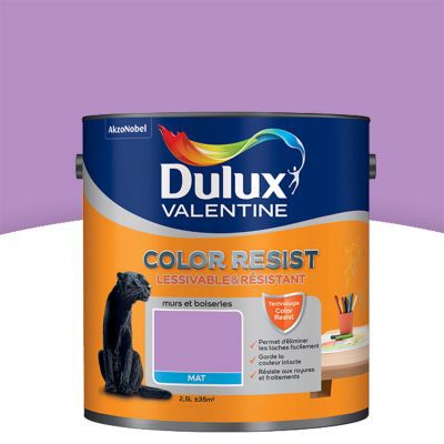 Peinture murs et boiseries Dulux Valentine Color resist violet persistant mat 2,5L