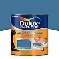 Peinture murs et boiseries Dulux Valentine Color resist zinc bleu mat 1L