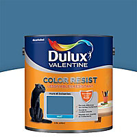 Peinture murs et boiseries Dulux Valentine Color resist zinc bleu mat 2,5L